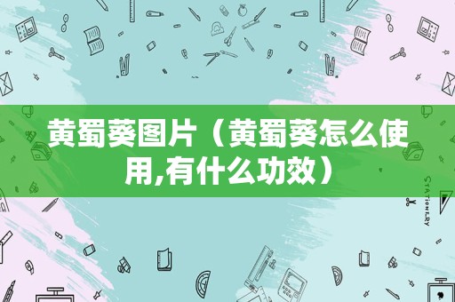黄蜀葵图片（黄蜀葵怎么使用,有什么功效）