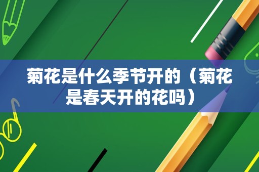 菊花是什么季节开的（菊花是春天开的花吗）