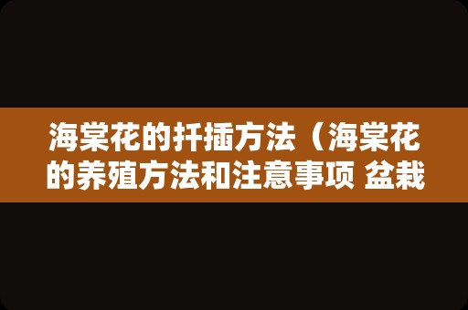 海棠花的扦插方法（海棠花的养殖方法和注意事项 盆栽竹节）