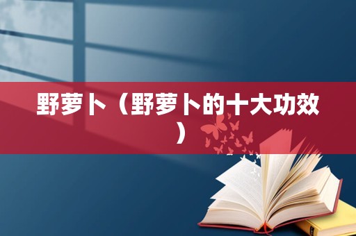 野萝卜（野萝卜的十大功效）