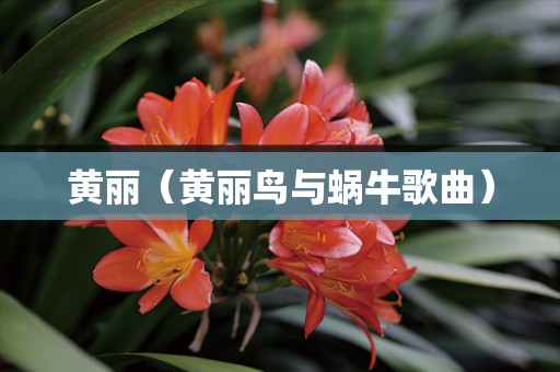 黄丽（黄丽鸟与蜗牛歌曲）