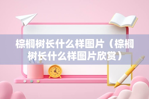 棕榈树长什么样图片（棕榈树长什么样图片欣赏）