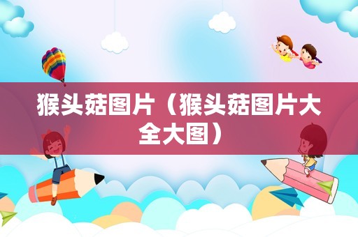 猴头菇图片（猴头菇图片大全大图）