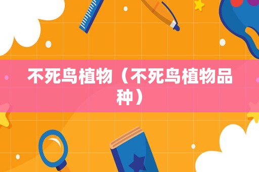 不死鸟植物（不死鸟植物品种）
