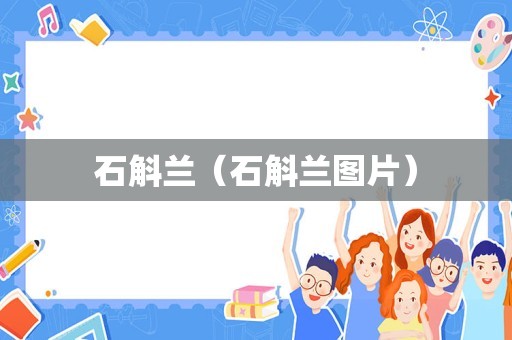 石斛兰（石斛兰图片）