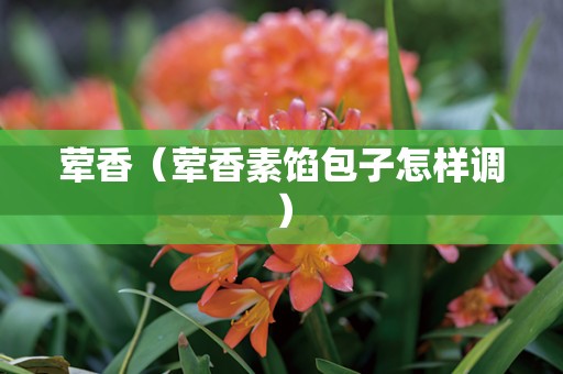 荤香（荤香素馅包子怎样调）