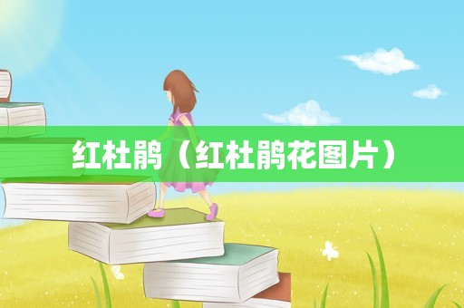 红杜鹃（红杜鹃花图片）