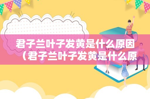君子兰叶子发黄是什么原因（君子兰叶子发黄是什么原因?）