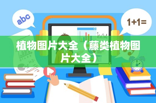 植物图片大全（藤类植物图片大全）