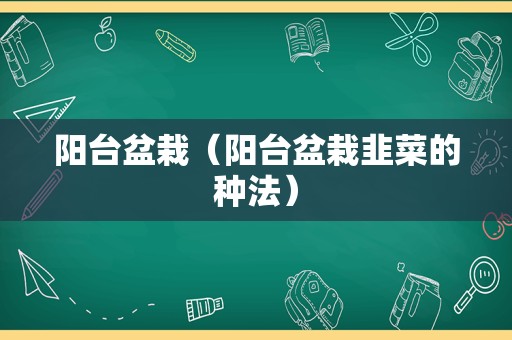 阳台盆栽（阳台盆栽韭菜的种法）