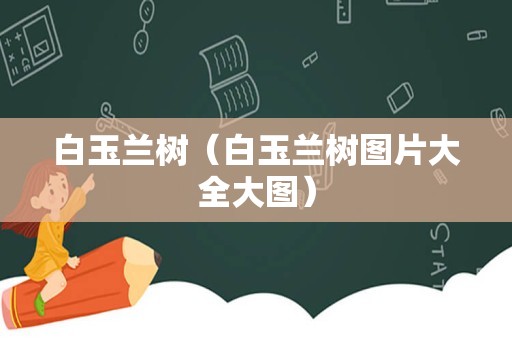 白玉兰树（白玉兰树图片大全大图）