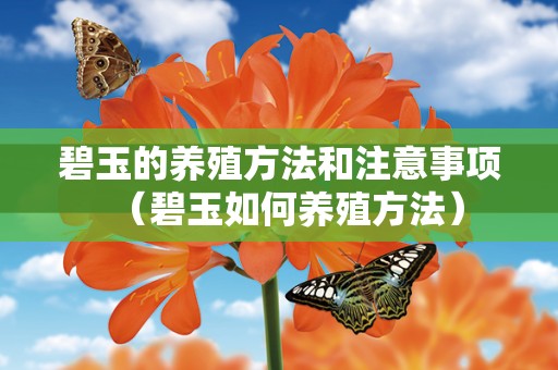 碧玉的养殖方法和注意事项（碧玉如何养殖方法）