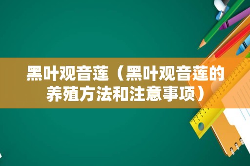 黑叶观音莲（黑叶观音莲的养殖方法和注意事项）