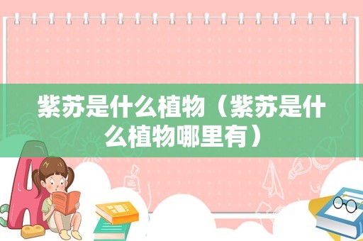紫苏是什么植物（紫苏是什么植物哪里有）