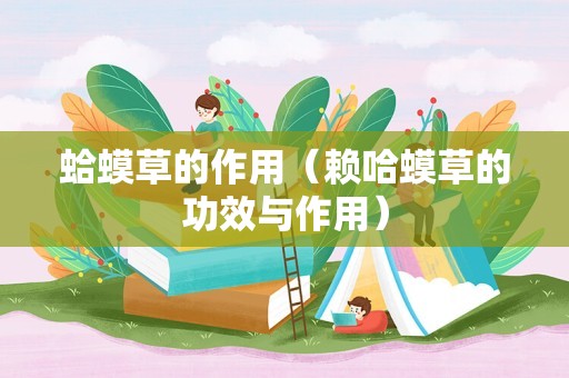 蛤蟆草的作用（赖哈蟆草的功效与作用）