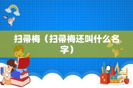 扫帚梅（扫帚梅还叫什么名字）
