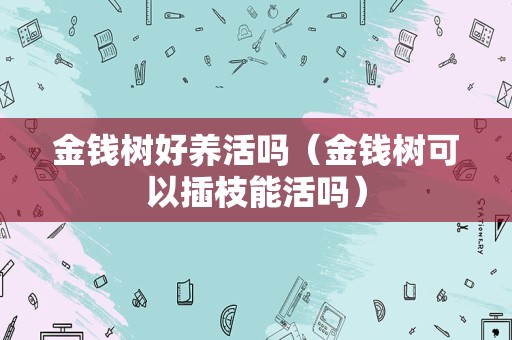 金钱树好养活吗（金钱树可以插枝能活吗）