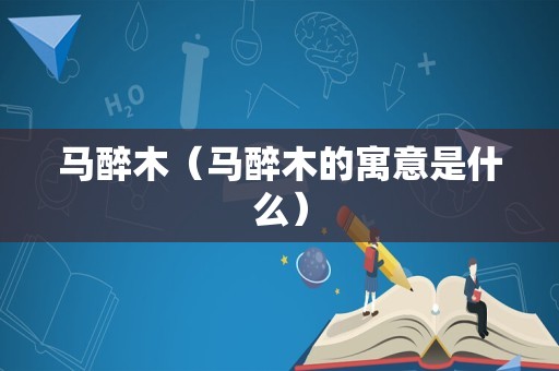 马醉木（马醉木的寓意是什么）