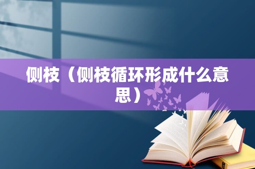 侧枝（侧枝循环形成什么意思）