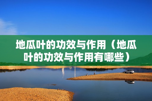 地瓜叶的功效与作用（地瓜叶的功效与作用有哪些）