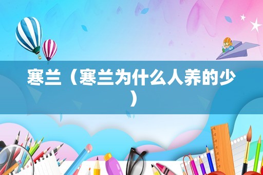 寒兰（寒兰为什么人养的少）