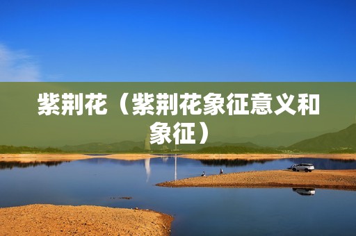 紫荆花（紫荆花象征意义和象征）