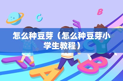 怎么种豆芽（怎么种豆芽小学生教程）