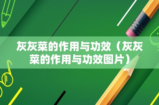 灰灰菜的作用与功效（灰灰菜的作用与功效图片）