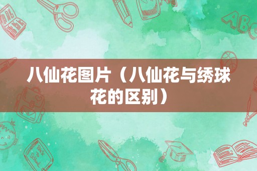 八仙花图片（八仙花与绣球花的区别）
