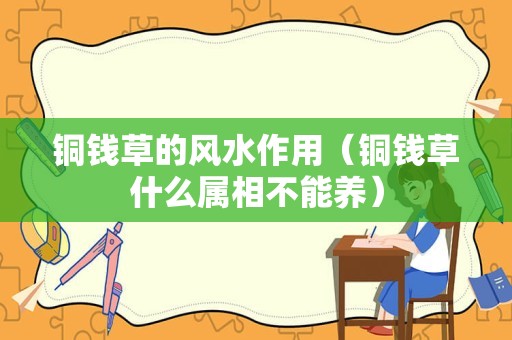 铜钱草的风水作用（铜钱草什么属相不能养）