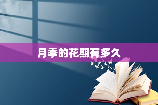 月季的花期有多久