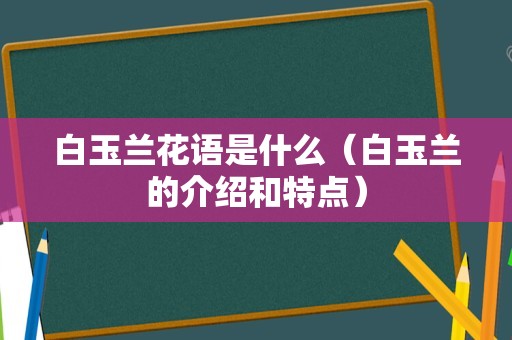 白玉兰花语是什么（白玉兰的介绍和特点）