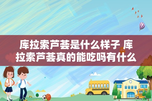 库拉索芦荟是什么样子 库拉索芦荟真的能吃吗有什么功效