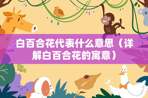 白百合花代表什么意思（详解白百合花的寓意）