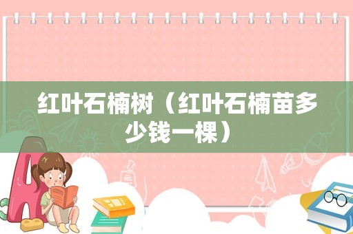 红叶石楠树（红叶石楠苗多少钱一棵）