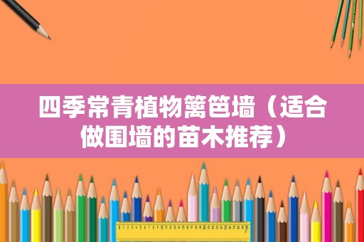 四季常青植物篱笆墙（适合做围墙的苗木推荐）