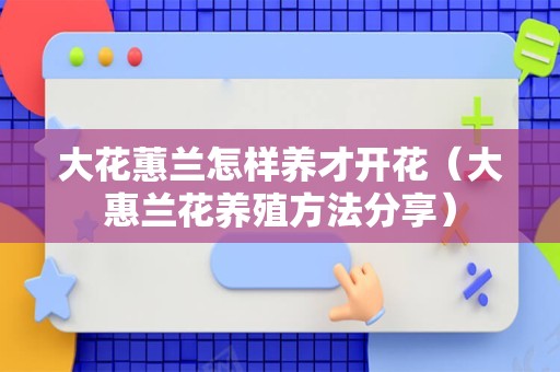 大花蕙兰怎样养才开花（大惠兰花养殖方法分享）
