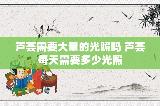 芦荟需要大量的光照吗 芦荟每天需要多少光照