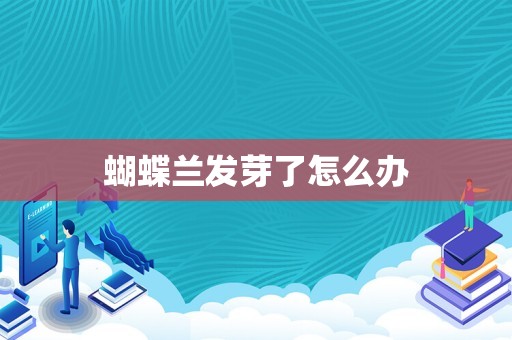 蝴蝶兰发芽了怎么办