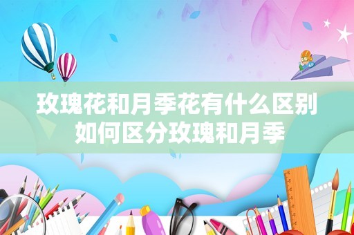 玫瑰花和月季花有什么区别 如何区分玫瑰和月季