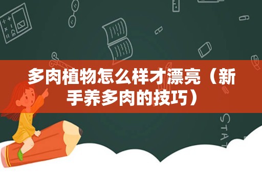 多肉植物怎么样才漂亮（新手养多肉的技巧）