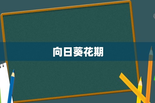 向日葵花期