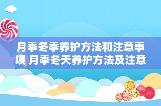 月季冬季养护方法和注意事项 月季冬天养护方法及注意事项