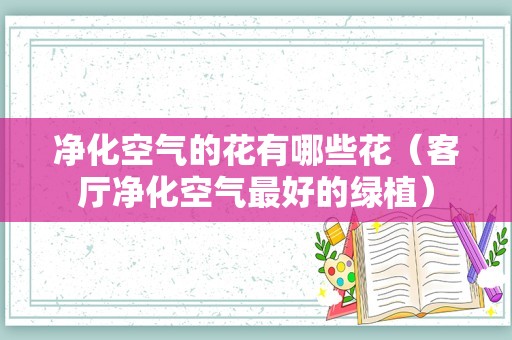 净化空气的花有哪些花（客厅净化空气最好的绿植）