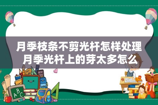 月季枝条不剪光杆怎样处理 月季光杆上的芽太多怎么办