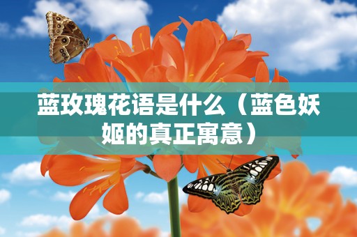 蓝玫瑰花语是什么（蓝色妖姬的真正寓意）