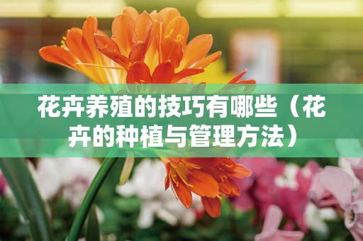 花卉养殖的技巧有哪些（花卉的种植与管理方法）