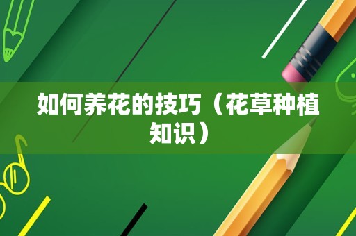 如何养花的技巧（花草种植知识）