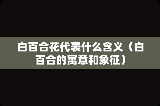 白百合花代表什么含义（白百合的寓意和象征）
