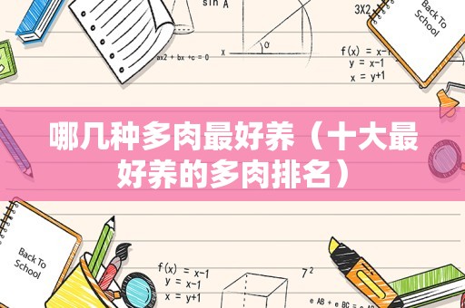 哪几种多肉最好养（十大最好养的多肉排名）